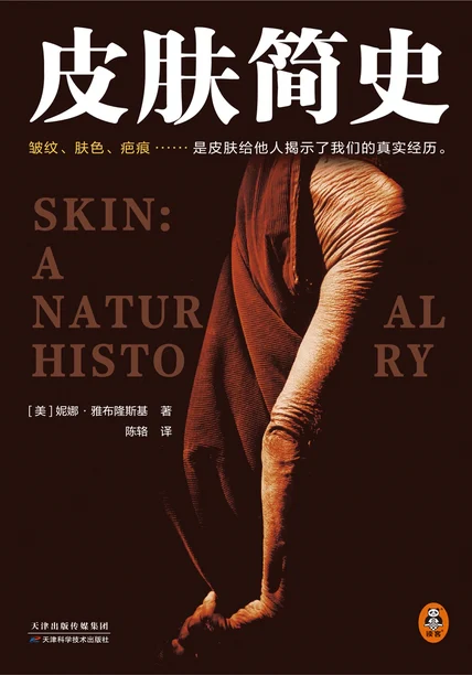 皮肤简史 cover