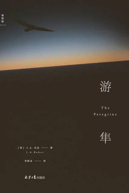 游隼 cover