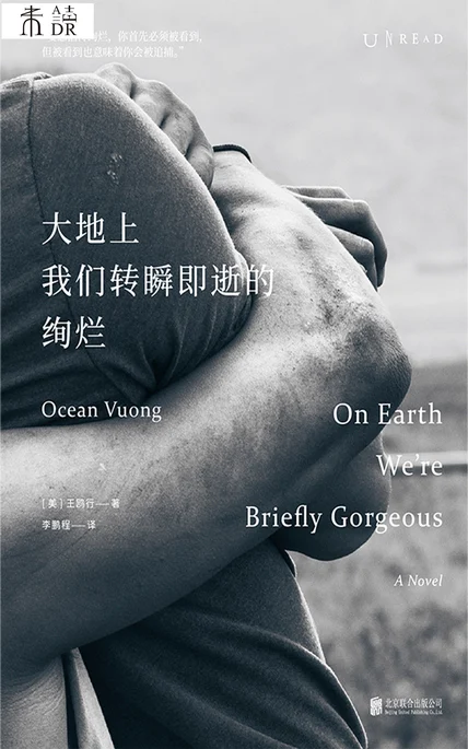 大地上我们转瞬即逝的绚烂 cover