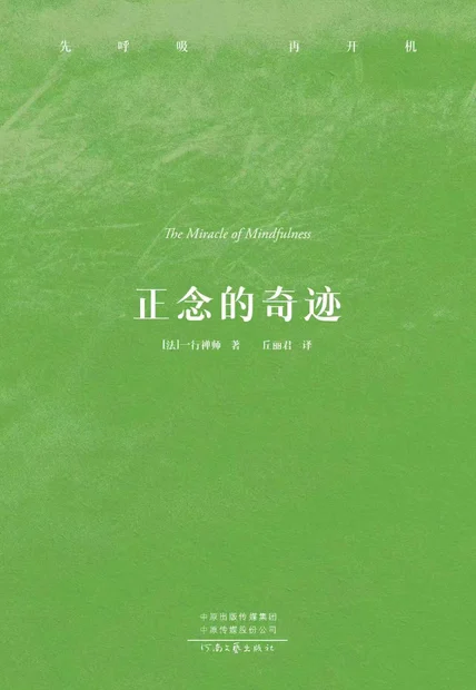 正念的奇迹 cover