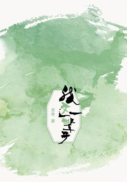 我这一辈子 cover